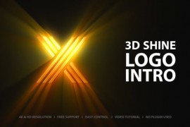3D Shine Logo Intro 46601261