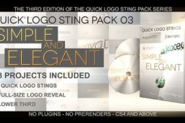 Elegant Logo Pack 46445322