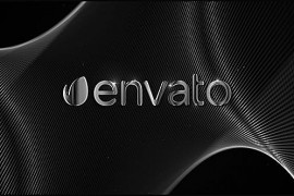 Silver Logo Reveal 21225717