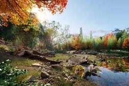 Globe Plants – Bundle 52 – North American Trees
