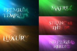 Premium Luxury Logo 44404246