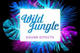 Pro Sound Effects Library Wild Jungle Sound Effects FLAC