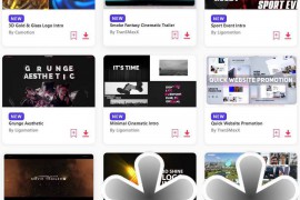 2023.7.23.7.Set.AE.Templates