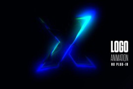 Logo Animation 50226038