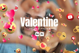 Valentine Transitions 50729418