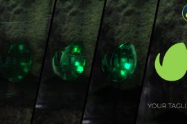 Emerald Logo for Davinci Resolve 43684461