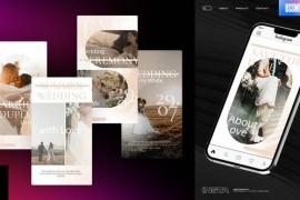 Wedding Instagram Stories 43930373