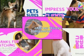 Slides Pets | FCPX 50893873