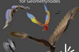 Free Download:Bird Generator Setup for Geometrynodes Blender 3.6