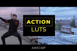 LUTs Action 42315350