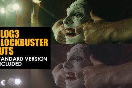 Slog3 Blockbuster and Standard Color LUTs 48789927