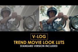 V-Log Trend Movie Look and Standard Color LUTs 51378313