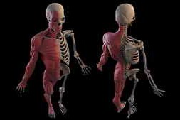 CGCircuit – Mastering Ziva Dynamics – A Studio Level Muscle Workflow