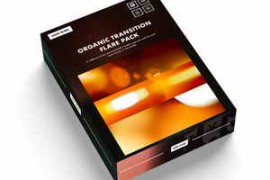 Alexandru Don Organic Transition Golden Flares