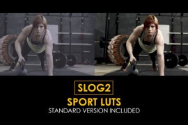 Slog2 Sport and Standard LUTs 42789800