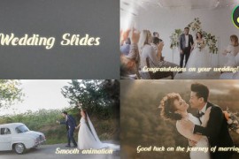 Wedding Slides for DaVinci Resolve 47171586
