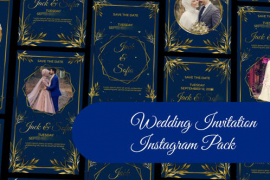 Wedding Invitation Instagram Story and Reel II 47200802