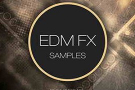 Bluezone Corporation EDM FX Samples WAV AiFF-AUDIOSTRiKE