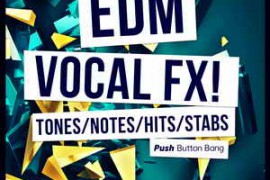 Push Button Bang EDM Vocal FX WAV