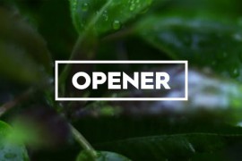 Fast Opener 45988344