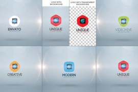 Spiral Logo Reveal Premiere Pro 45889481