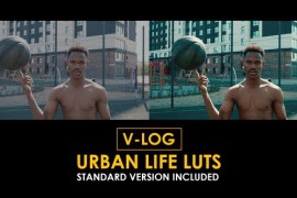 V-Log Urban Life and Standard LUTs 51363280