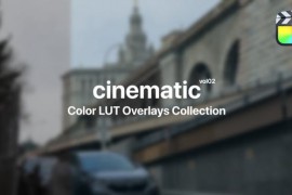 Cinematic Color Presets for Final Cut Pro Vol. 02 48017205