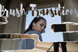 Free Download:Brush Transitions 58809766