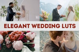 Elegant Wedding LUTs | DaVinci Resolve 49768403