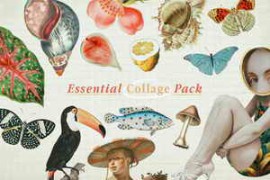 Pixelbuddha – Essential Collage Pack 5100