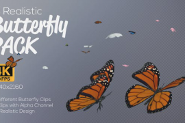 Butterfly Pack With Alpha Channel 44907154
