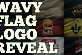 Wavy Flag Logo Reveal 52309888