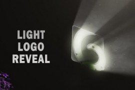 Light Logo 45344286