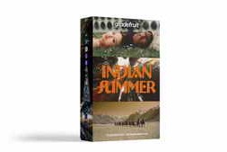 GradeFruit – Indian Summer LUTs & LR Presets