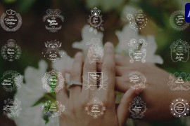 Wedding Titles for After Effects 46578734