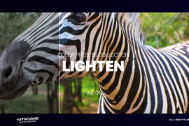 Lighten LUT Collection Vol. 01 for DaVinci Resolve 46156003