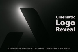 Cinematic Logo Reveal 43416960