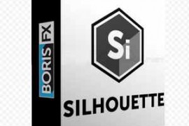 Boris FX Silhouette 2024.5.0 Win x64
