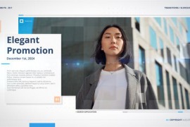 Presentation 48004735