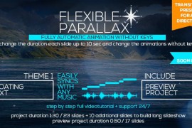 Flexible Parallax Slideshow_Floating Text 19788192