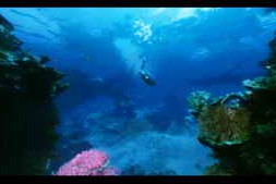 Artstation – Unreal Engine – Underwater/BPV3 5.0+