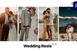 Wedding Reels for Premiere Pro Vol. 18 49377089