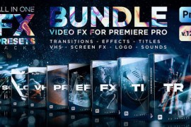 FX Presets Bundle for Premiere Pro | Transitions, Titles, Effects, VHS, LUTs, Logo, Sounds 24028073