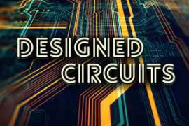 Gregor Quendel Designed Circuits WAV-DISCOVER