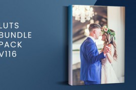 LUTs Bundle Pack V116 | FCPX 51332558