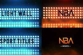 Sport Logo & Titles 24198001
