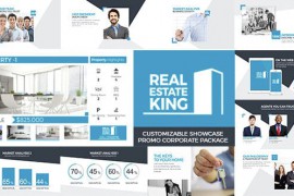 Real Estate King 15213364