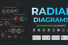 Infographic - Radial Diagrams 51389888