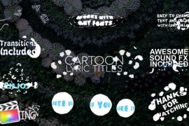 2D Cartoon Lyric Titles | FCPX 24350664