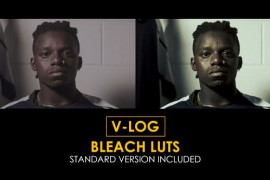 V-Log Bleach and Standard Color LUTs 51443757